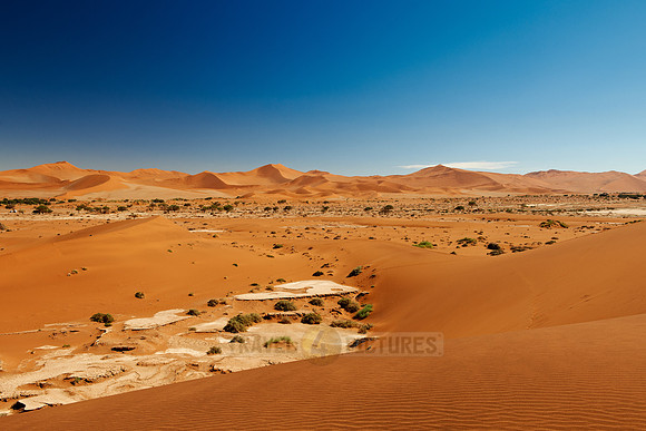 desert landscape of Namib at Sossusvlei