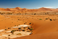 desert landscape of Namib at Sossusvlei