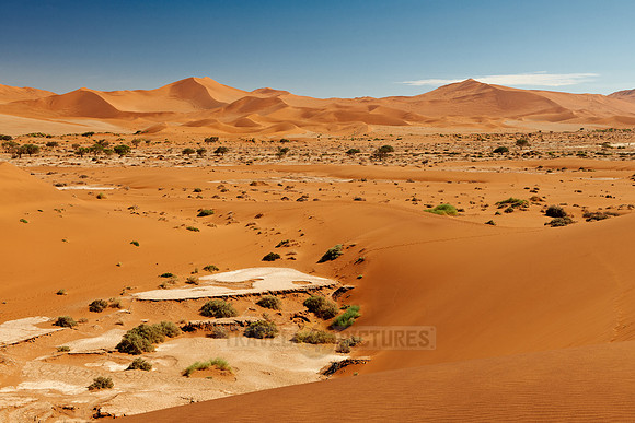 desert landscape of Namib at Sossusvlei