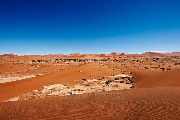 desert landscape of Namib at Sossusvlei