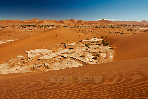 desert landscape of Namib at Sossusvlei