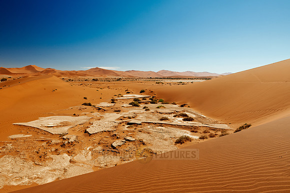 desert landscape of Namib at Sossusvlei