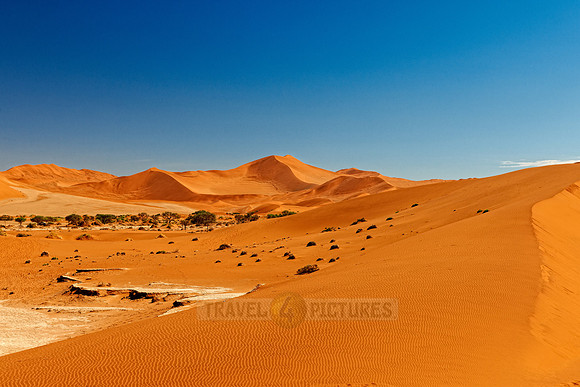 desert landscape of Namib at Sossusvlei