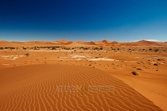 desert landscape of Namib at Sossusvlei