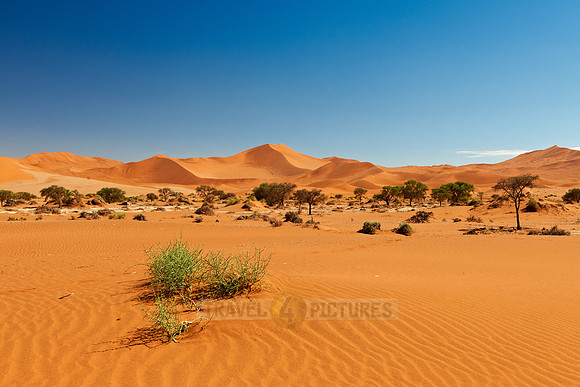 desert landscape of Namib at Sossusvlei
