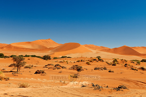 desert landscape of Namib at Sossusvlei