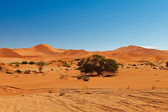 desert landscape of Namib at Sossusvlei