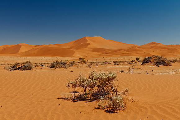 desert landscape of Namib at Sossusvlei
