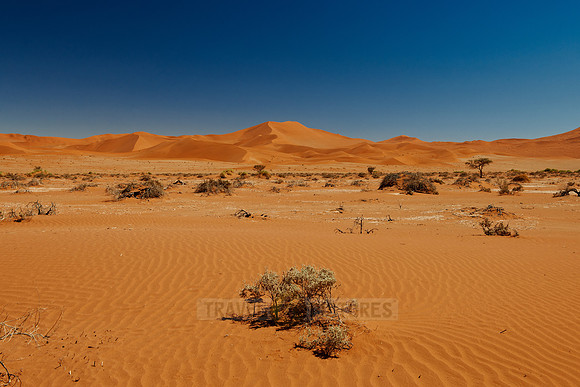 desert landscape of Namib at Sossusvlei
