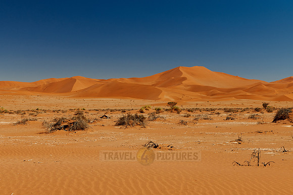 desert landscape of Namib at Sossusvlei