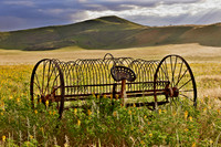 landscape at Tsondab Valley Desert Farm
