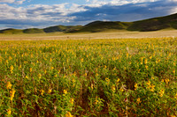 landscape at Tsondab Valley Desert Farm