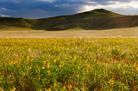 landscape at Tsondab Valley Desert Farm