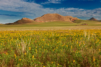 landscape at Tsondab Valley Desert Farm