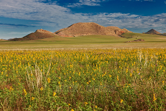 landscape at Tsondab Valley Desert Farm