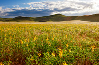 landscape at Tsondab Valley Desert Farm