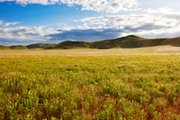 landscape at Tsondab Valley Desert Farm