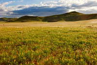 landscape at Tsondab Valley Desert Farm