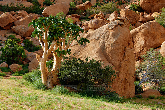 Spitzkoppe