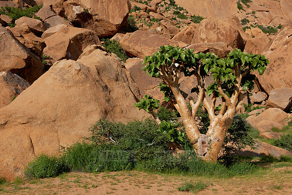Spitzkoppe