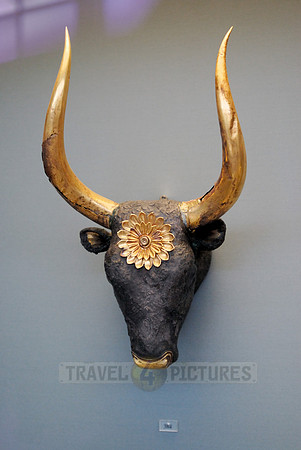 Bull's head with gold-plated horns,