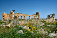 Basilica of Volubilis