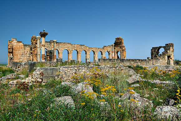 Basilica of Volubilis