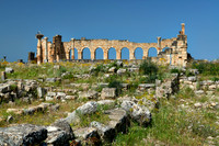 Basilica of Volubilis