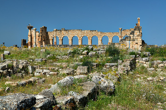 Basilica of Volubilis