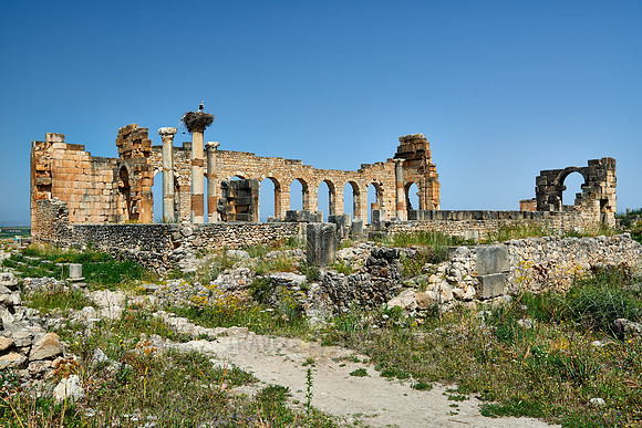 Basilica of Volubilis