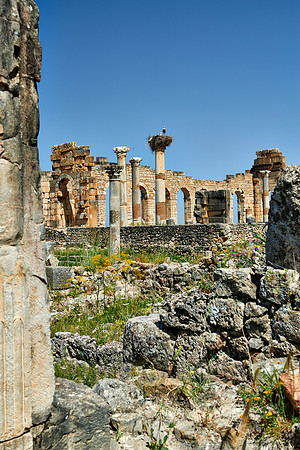 Basilica of Volubilis