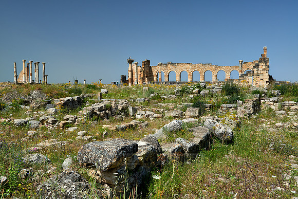 Basilica of Volubilis