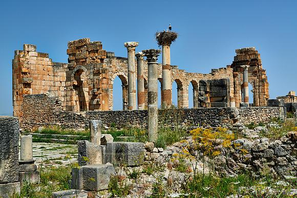 Basilica of Volubilis
