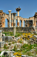 Basilica of Volubilis