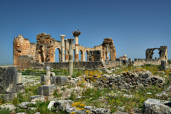 Basilica of Volubilis