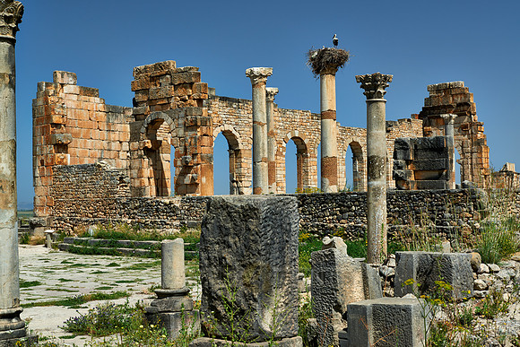 Basilica of Volubilis