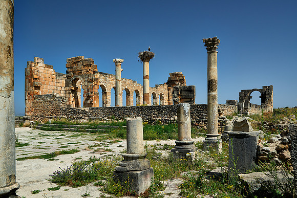 Basilica of Volubilis