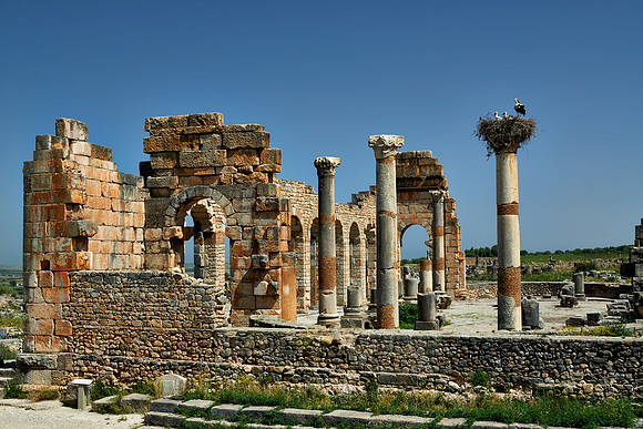 Basilica of Volubilis