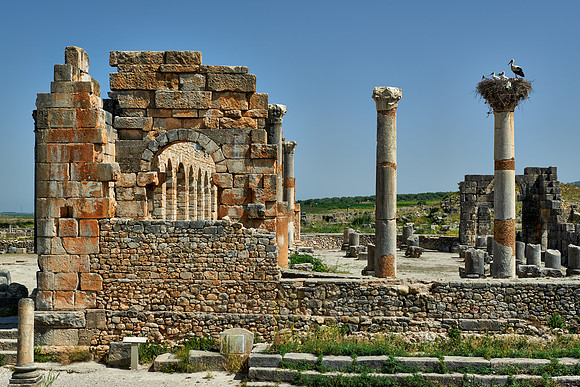 Basilica of Volubilis