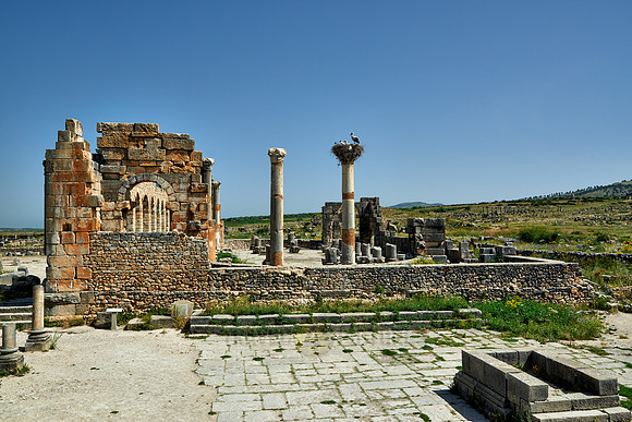 Basilica of Volubilis