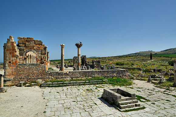Basilica of Volubilis