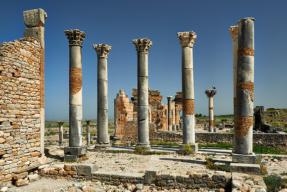 The Capitoline Temple of Volubilis