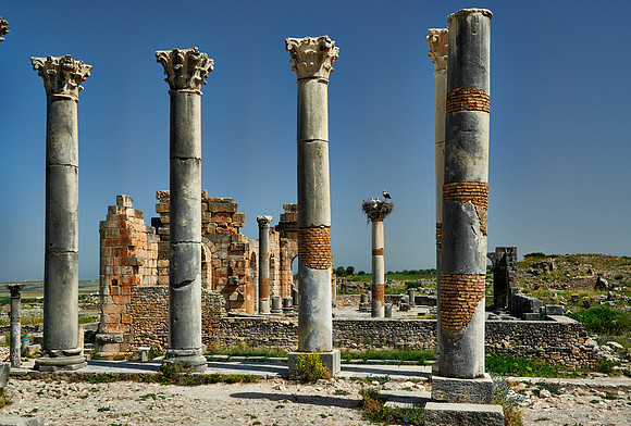 The Capitoline Temple of Volubilis