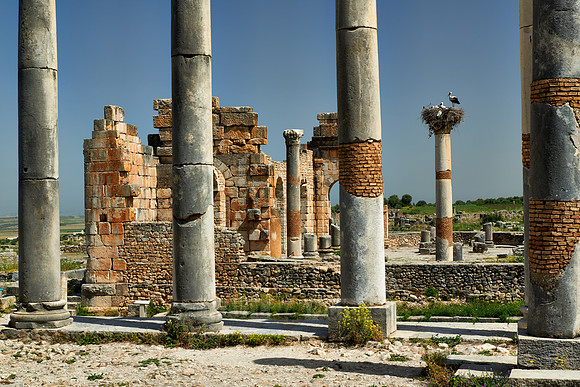 Basilica of Volubilis