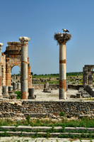 Basilica of Volubilis