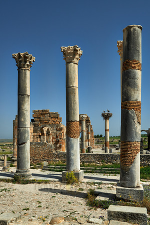 The Capitoline Temple of Volubilis