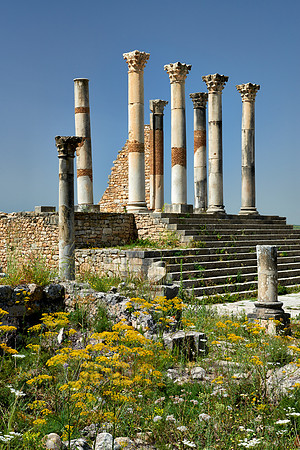 The Capitoline Temple of Volubilis