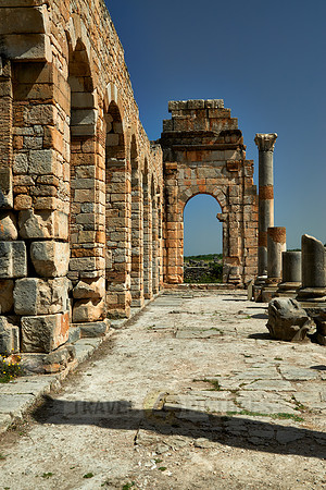 Basilica of Volubilis