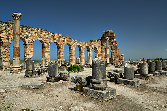 Basilica of Volubilis