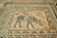 Mosaic inside house of the Ephebe in  Volubilis
